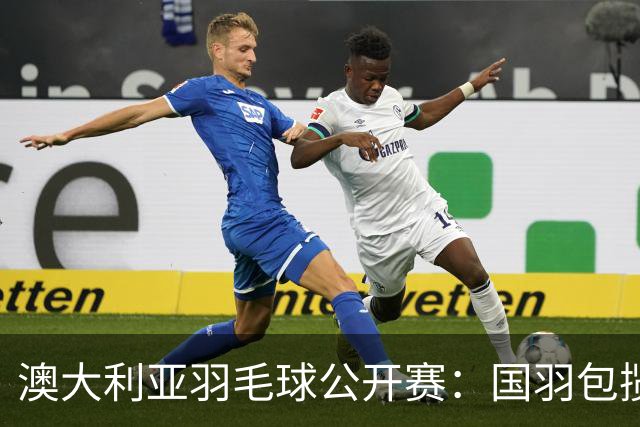 澳大利亚羽毛球公开赛：国羽包揽双打三项冠军
